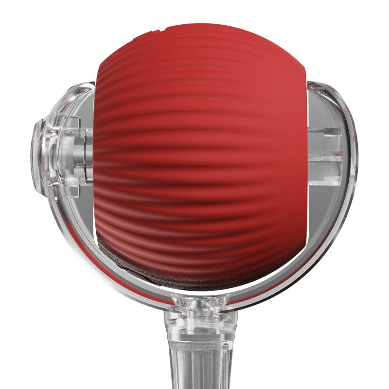 pet toy ball