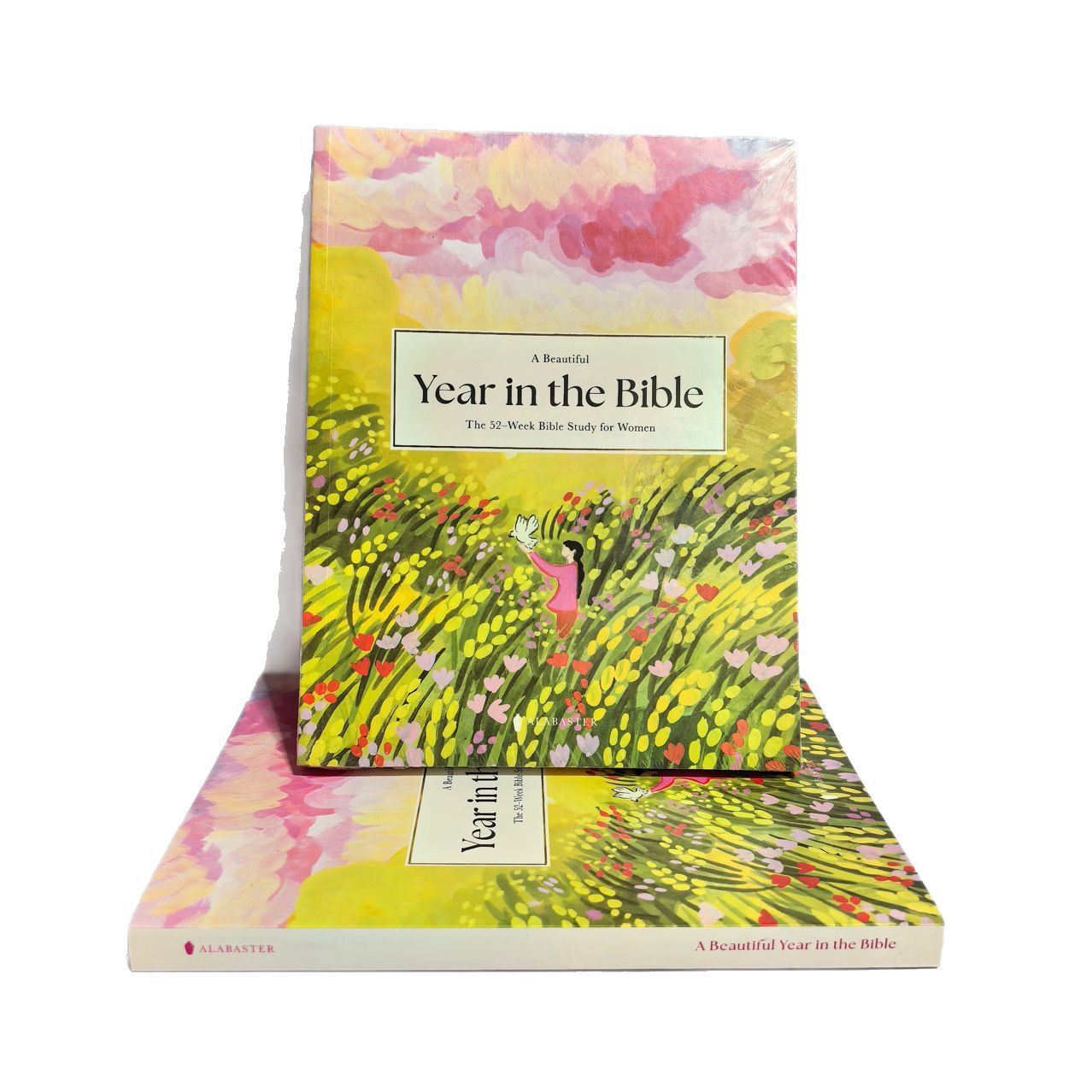 Study the Holy Word in English