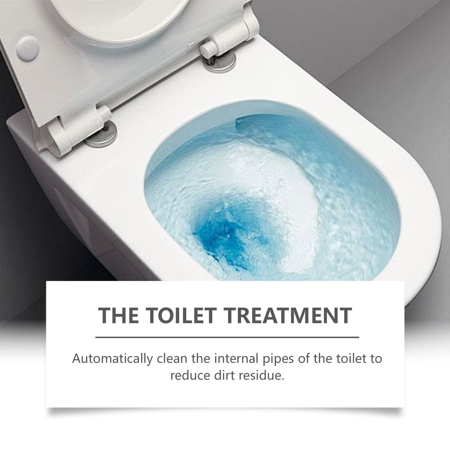 Toilet cleaner