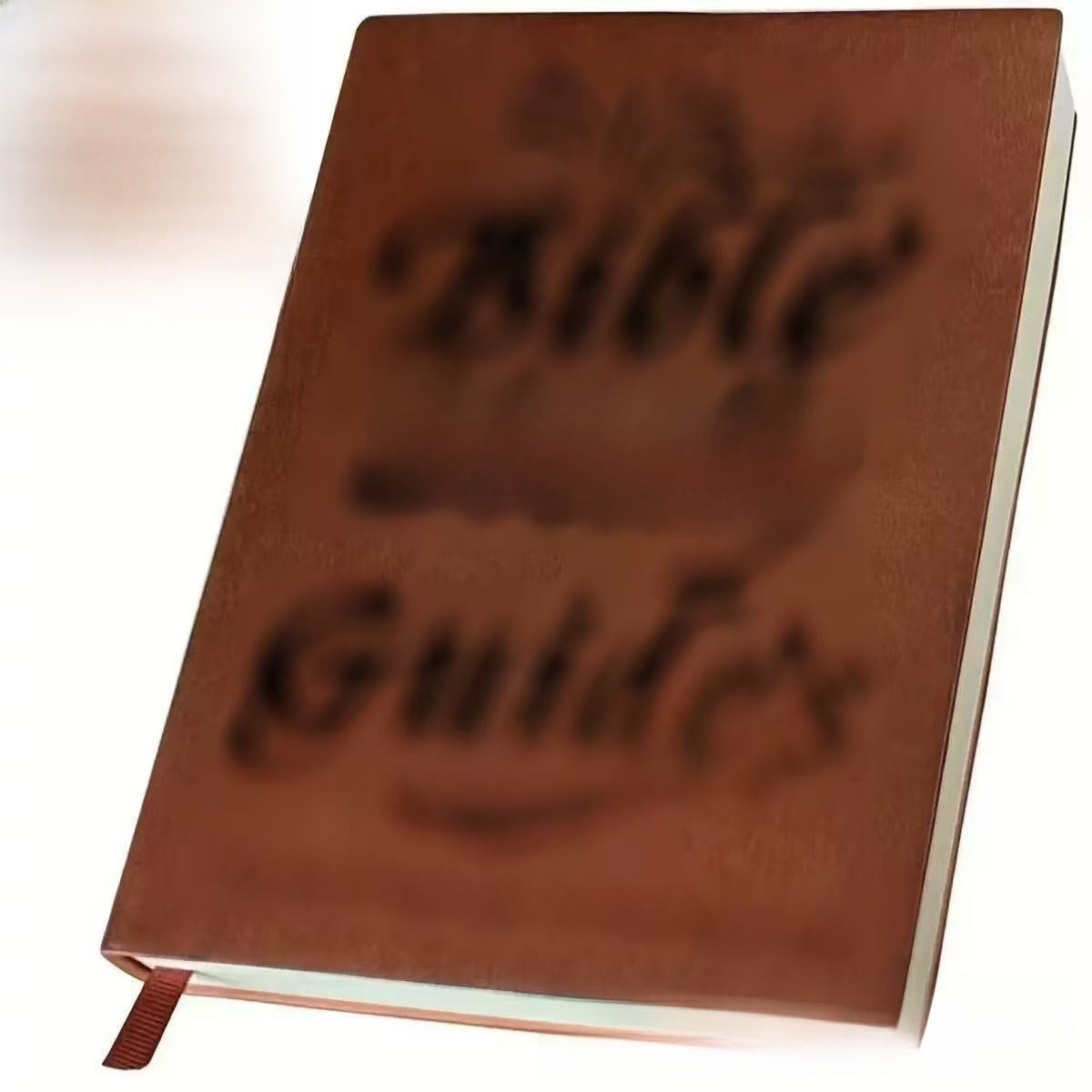 Study Plan Book
