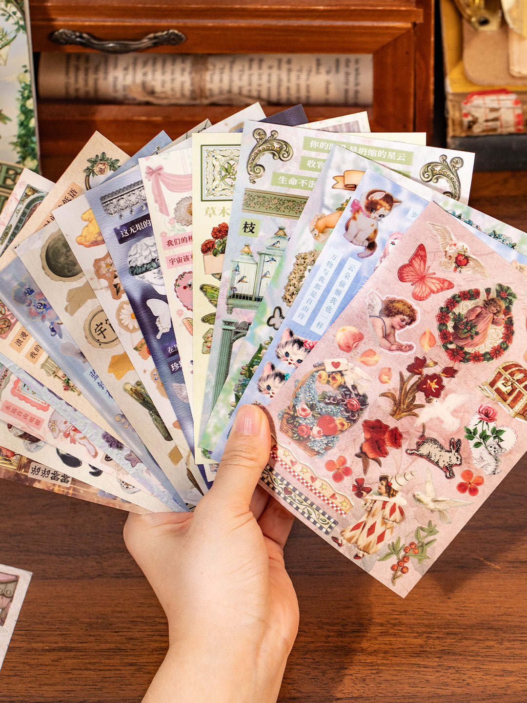 Sticker Book