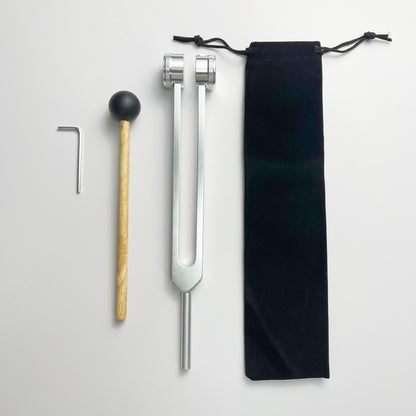 Professional Ear Cleaning Tuning Forks