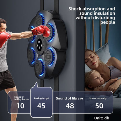 Exercise and fitness boxing training equipment