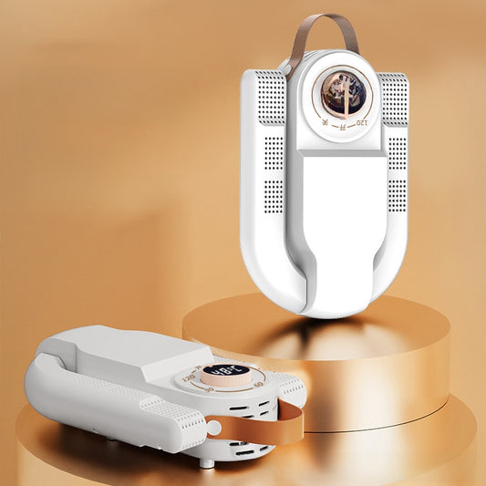 Intelligent shoe dryer