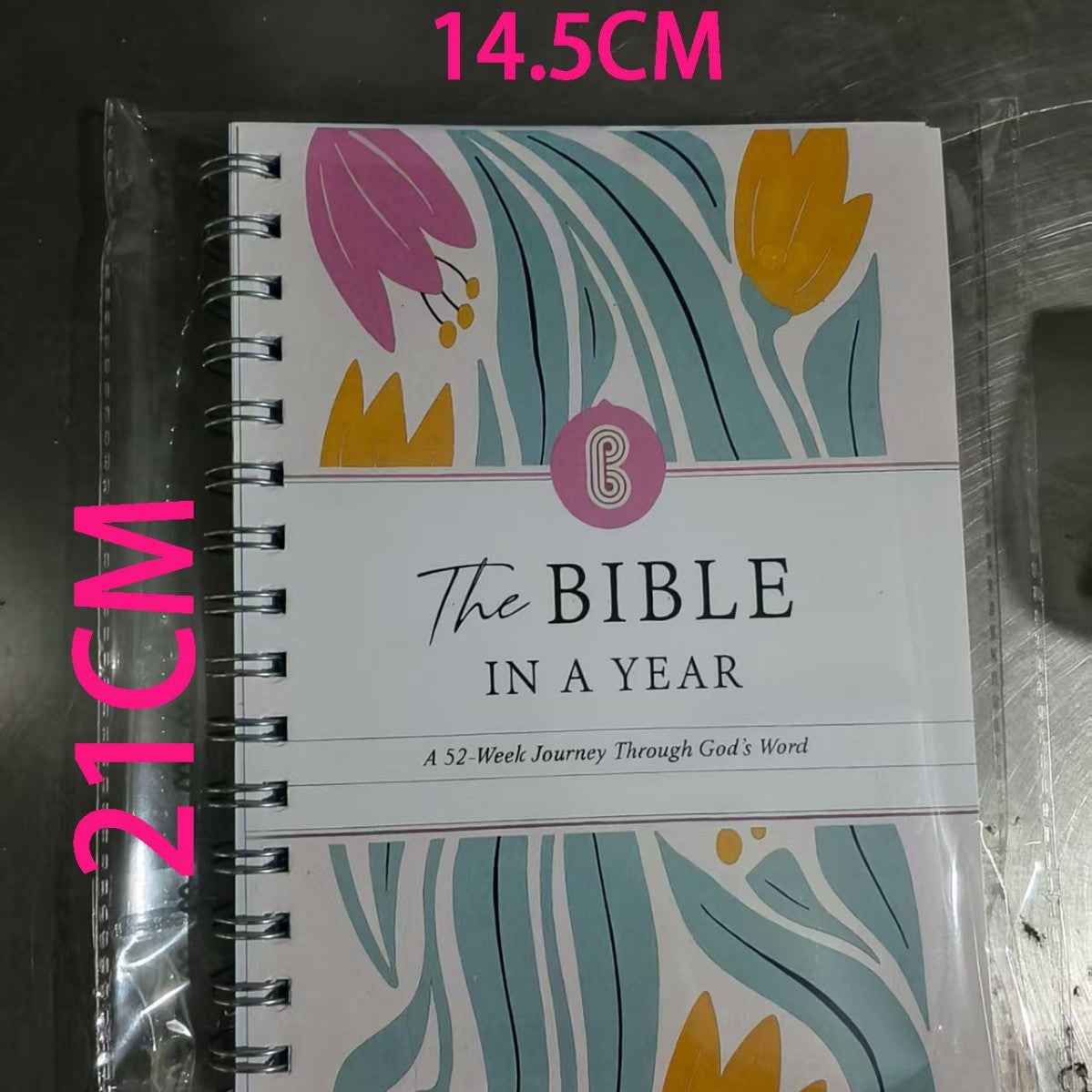 Bible Study Workbook Loose-Leaf Book