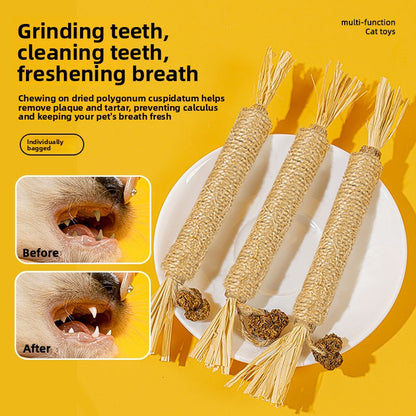 Polygonum Kipponicum Cat Chewing Toy