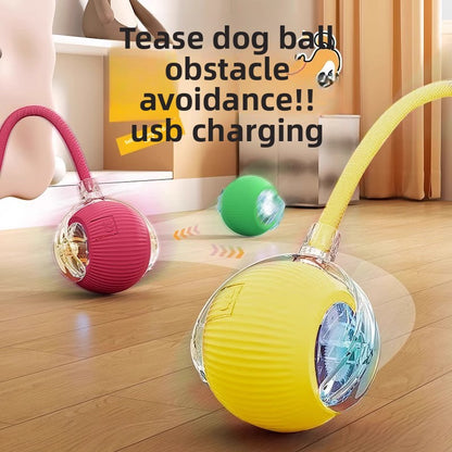 Electric pet toy