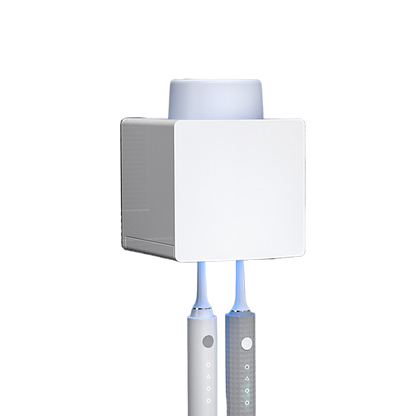 Toothbrush sterilizer