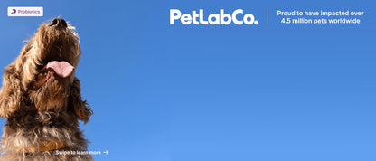 PetLab Co. Allergy & Immune Probiotics for Dogs, Support Seasonal Allergies, Gut & Digestive Health - Pork Flavor - 30 Soft Chews - Packaging May Vary