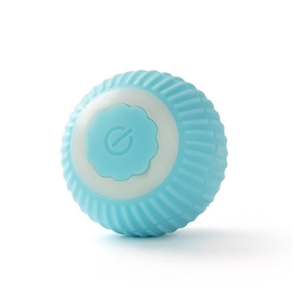 pet toy ball