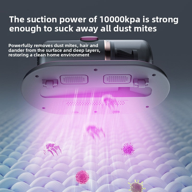 Compact handheld dust removal device