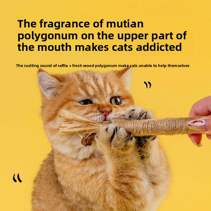 Polygonum Kipponicum Cat Chewing Toy