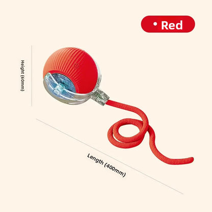 Electric pet toy