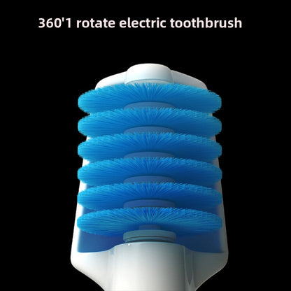Electric Toothbrush