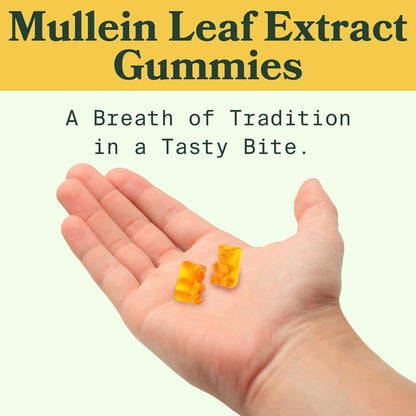 Herbal Supplement Gummies