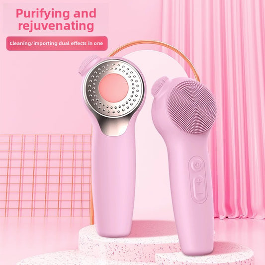 facial cleansing device