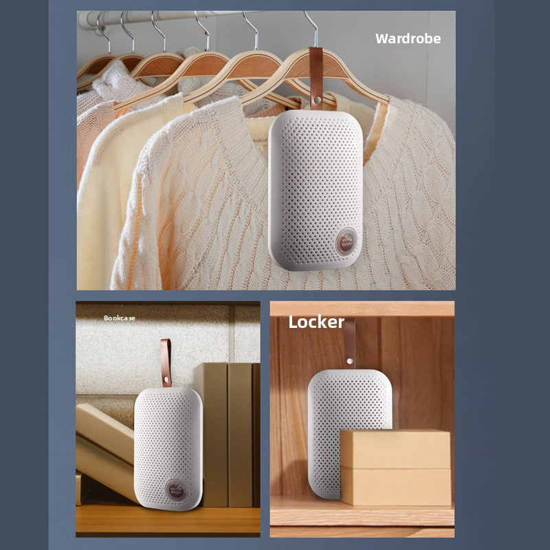 Portable Dehumidifier