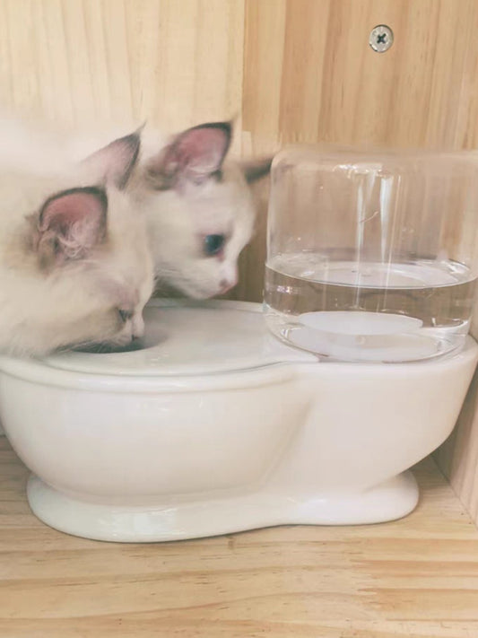Automatic water bowl