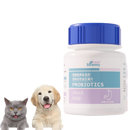 Shark Cartilage Chondroitin Probiotics