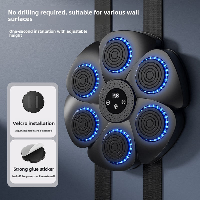 Exercise and fitness boxing training equipment