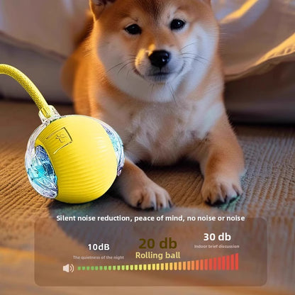 Electric pet toy