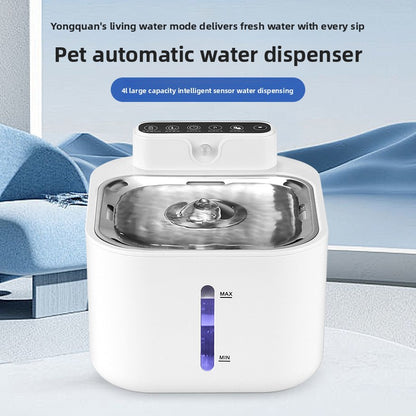 Silent cat and dog drinker