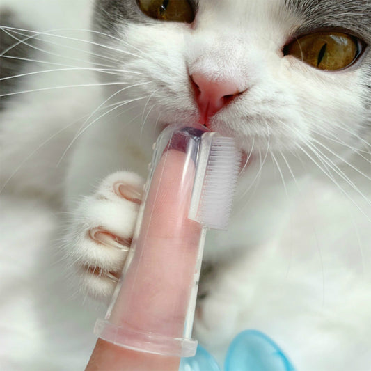 Pet finger toothbrush