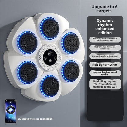 Exercise and fitness boxing training equipment