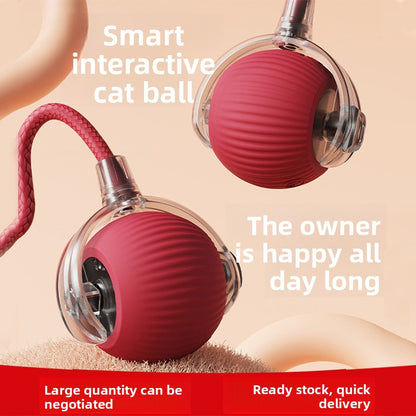 pet toy ball