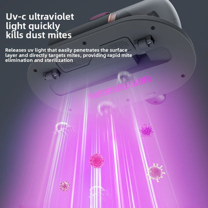 Compact handheld dust removal device