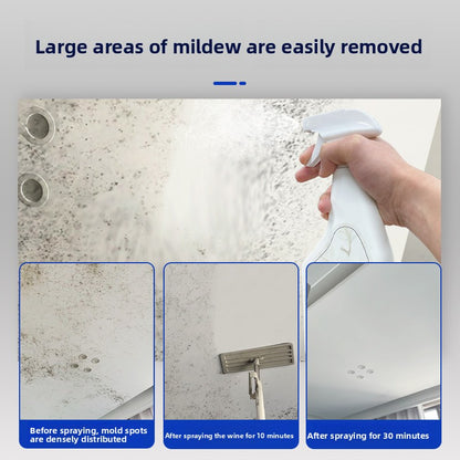 Wall Mold Remover