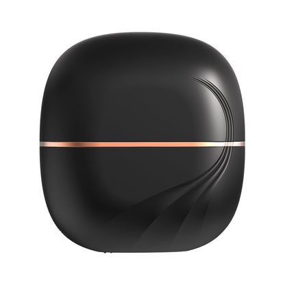 Wireless Hair Straightener with Ceramic Plates