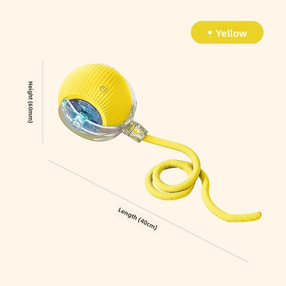 Electric pet toy