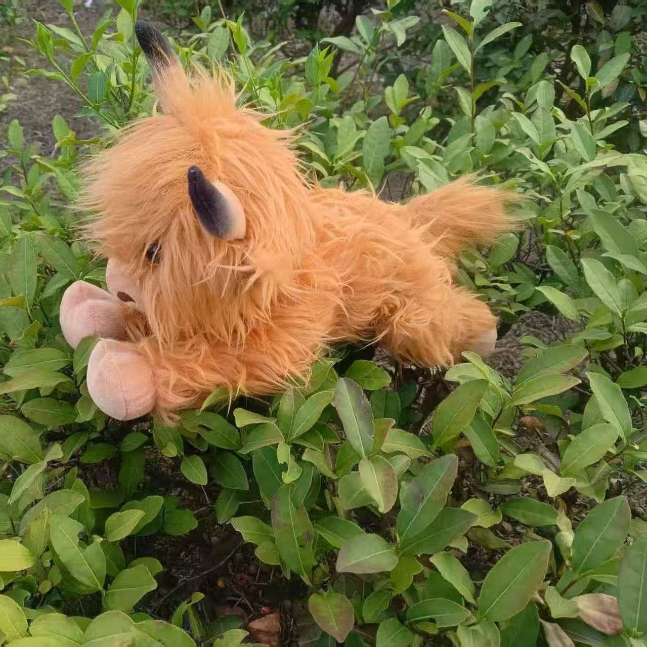 Plush cow doll