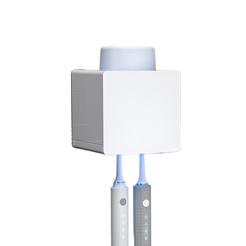 Toothbrush sterilizer