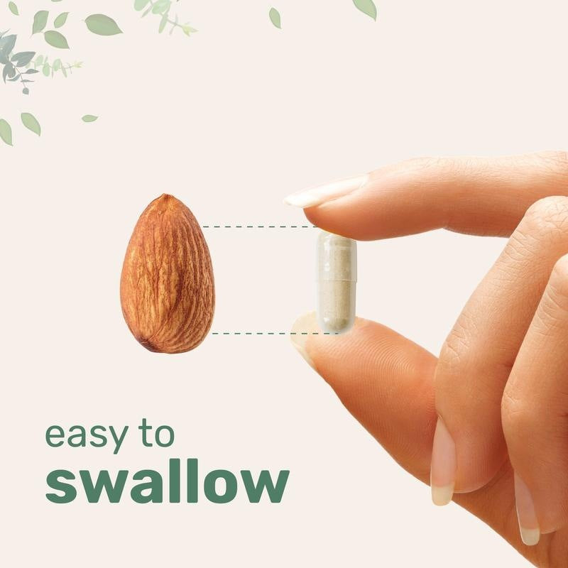 Composite Collagen Protein Capsules