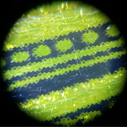 LED magnifying glass