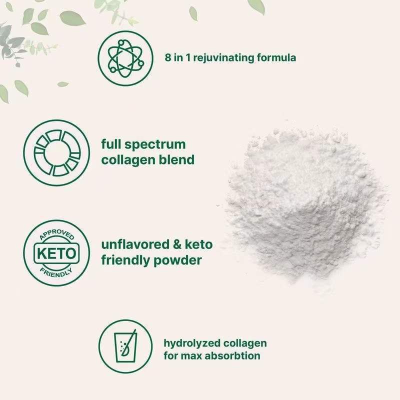 Multi Collagen Protein Powder Supplement