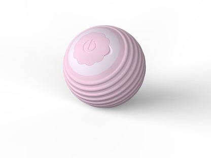 pet toy ball