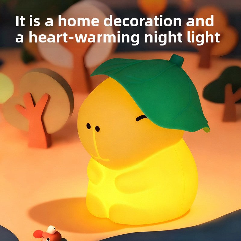 LED night light