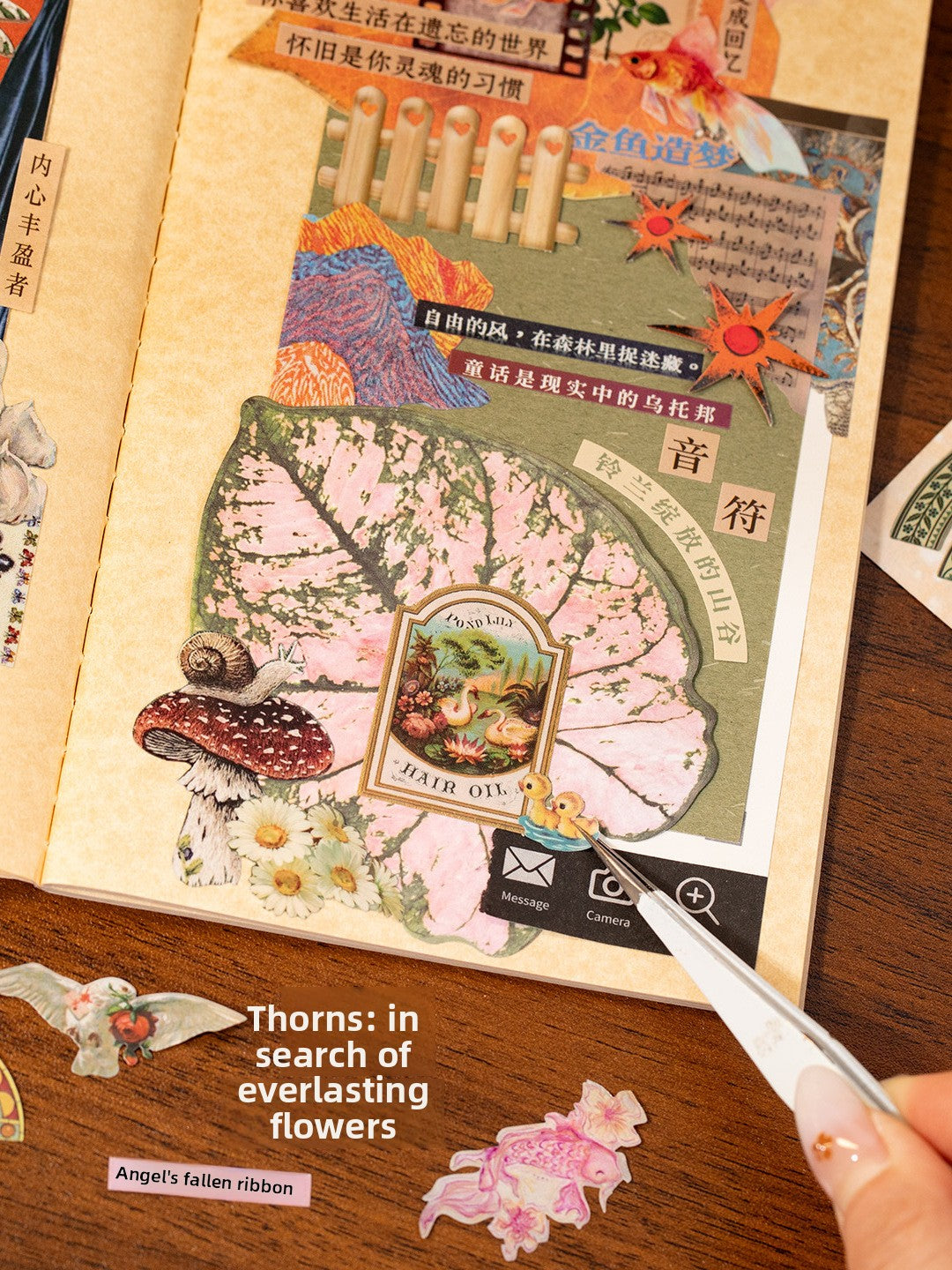 Sticker Book