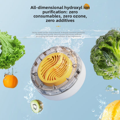 Food Cleaning Machine