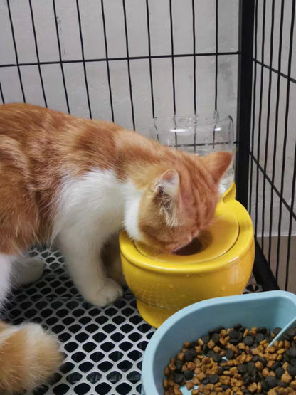 Automatic water bowl