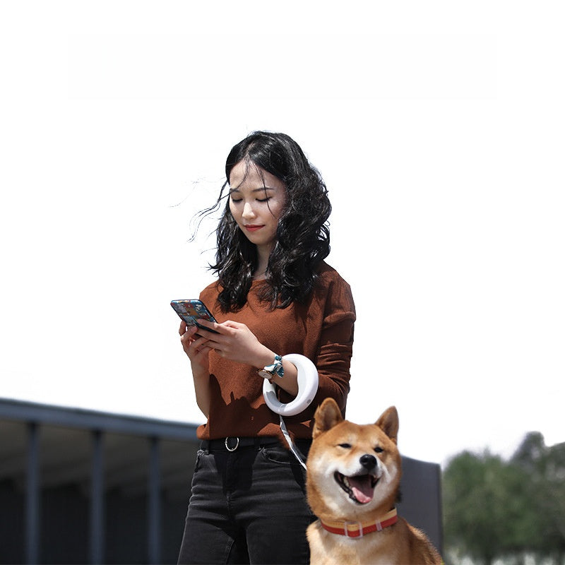 Pet Leash