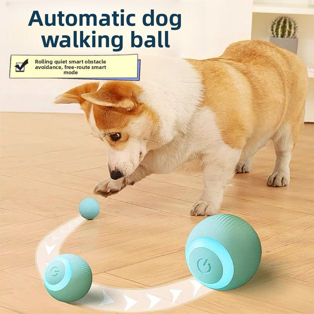 pet toy ball
