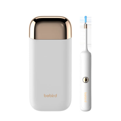 Ear cleaning tool kit