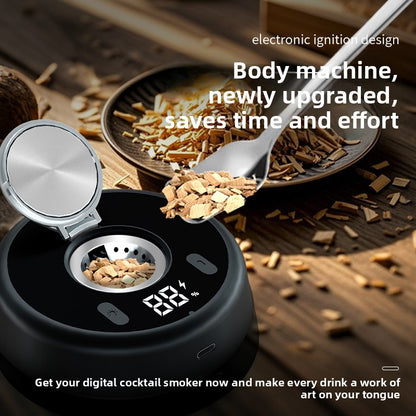 Electric Whisky Smoker