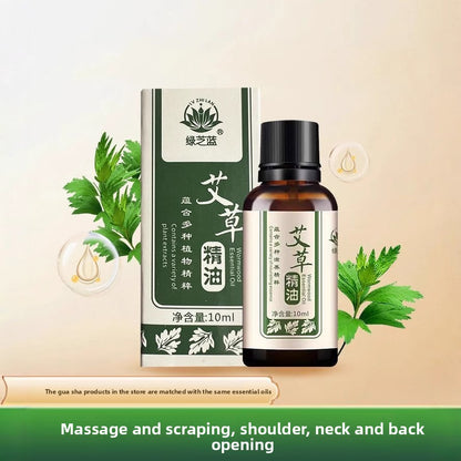 Massage Essential Oil