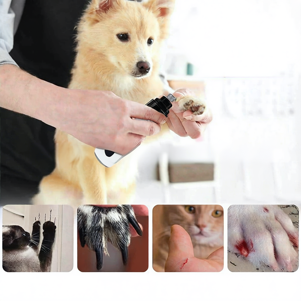 Rechargeable Pet Nail Grinder with LED Light
