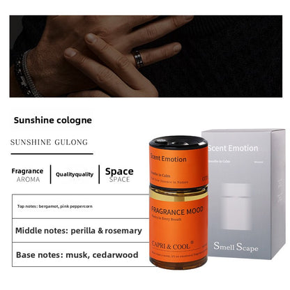 Automatic Car Fragrance Diffuser with Long-Lasting Spray